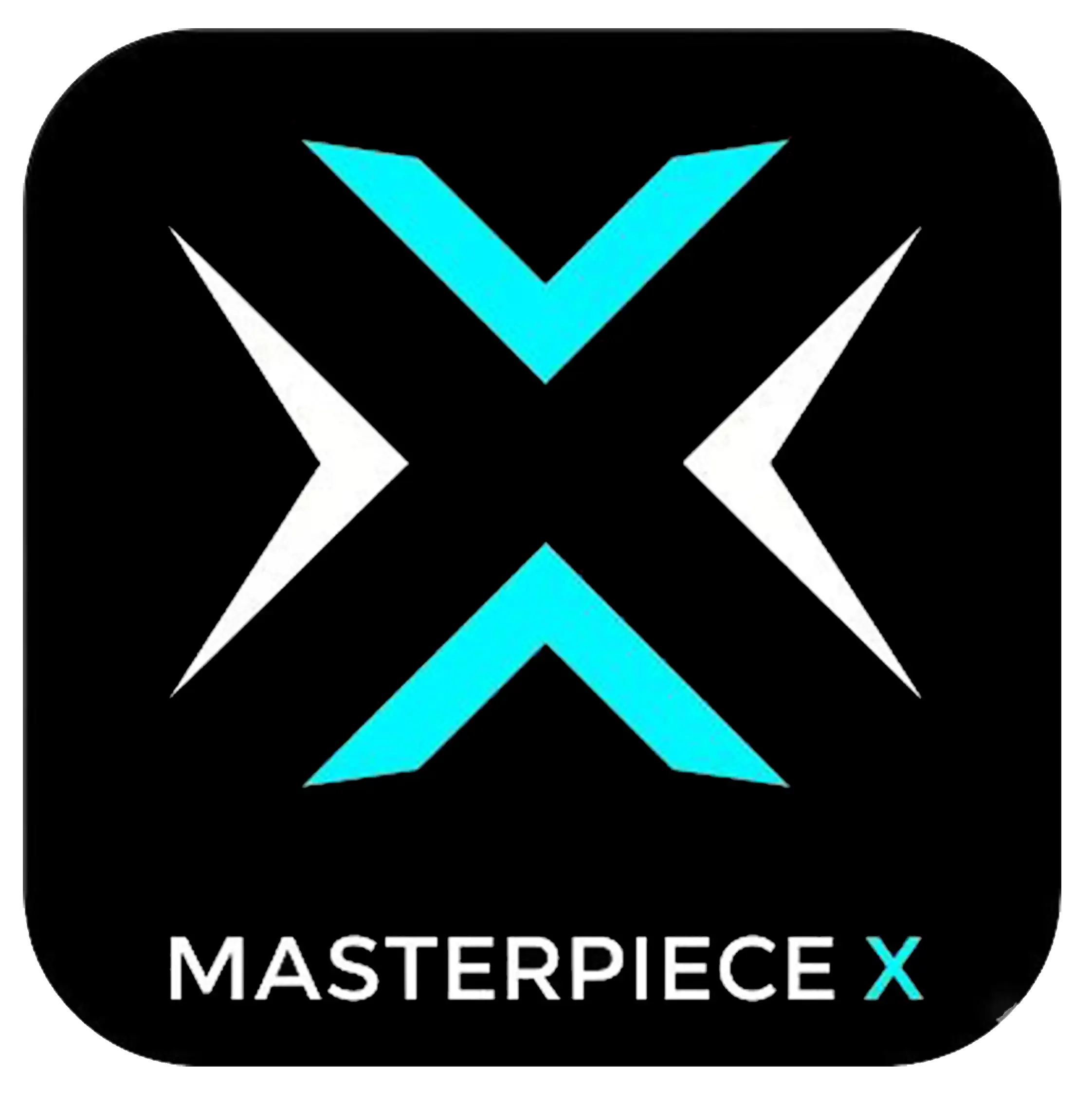 Masterpiece X